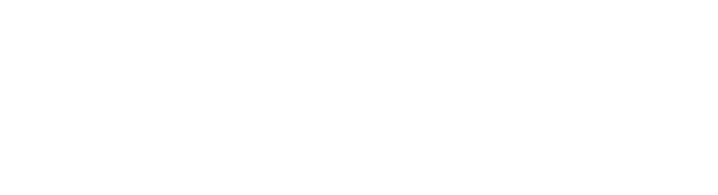Deluxe Tints logo