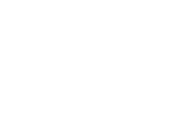 Hamdan Butchers logo