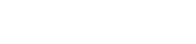Hustlers Shine logo