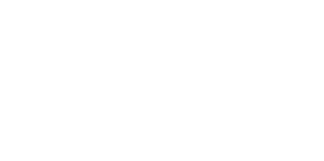That Slush Guy logo
